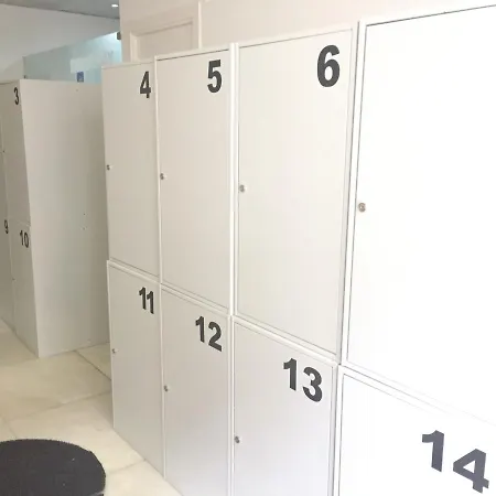 호스텔 골든 트램 242